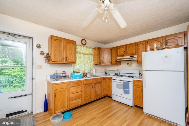 kitchen featuring ceiling fan, light wood-type flooring, white appliances, and sink