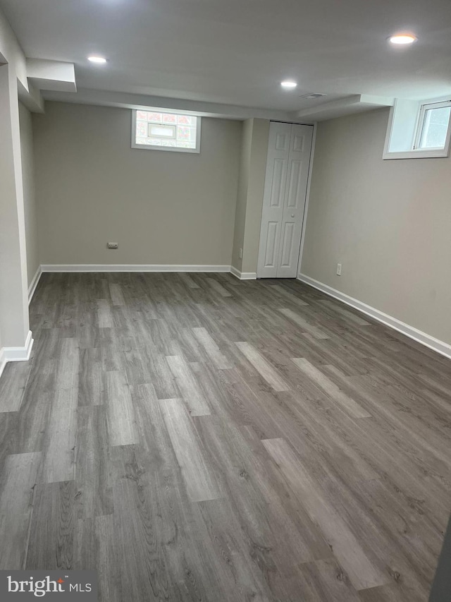 basement featuring wood-type flooring