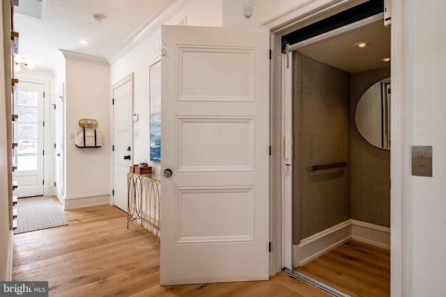 hall featuring elevator, light hardwood / wood-style flooring, and ornamental molding