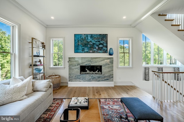 living room featuring light wood-type flooring, a wealth of natural light, and a premium fireplace