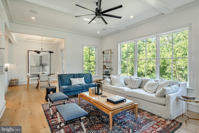 living room featuring beam ceiling, light wood-type flooring, ceiling fan, and crown molding