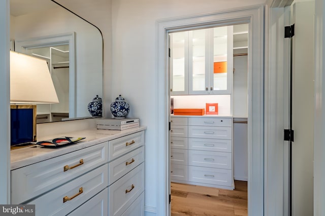 walk in closet featuring light hardwood / wood-style floors