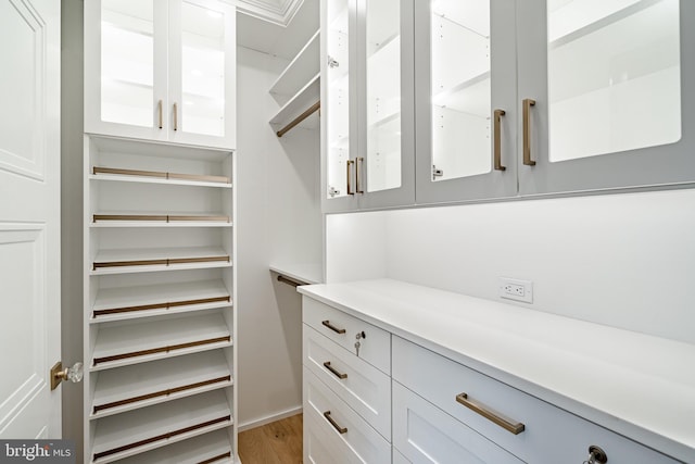 walk in closet featuring light wood-type flooring