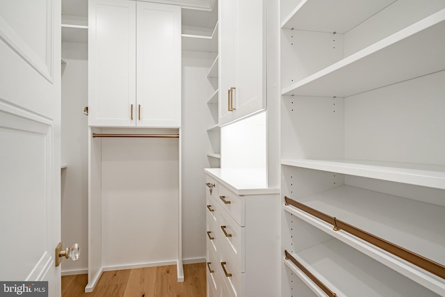 walk in closet featuring light wood-type flooring