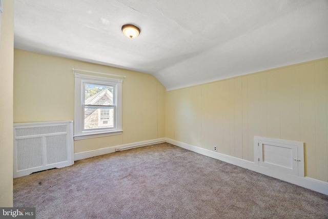 additional living space with a textured ceiling, radiator, carpet, and lofted ceiling