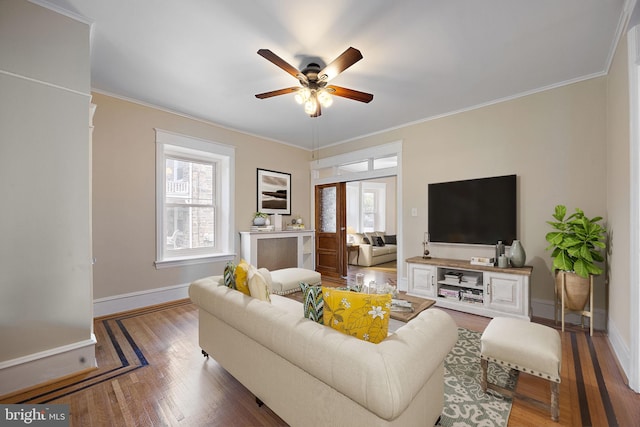 living room with hardwood / wood-style flooring, ceiling fan, and crown molding