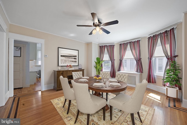 dining area featuring ceiling fan, light hardwood / wood-style flooring, and ornamental molding