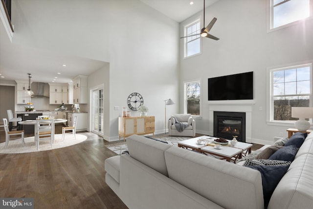 living room featuring a high ceiling, ceiling fan, and hardwood / wood-style floors