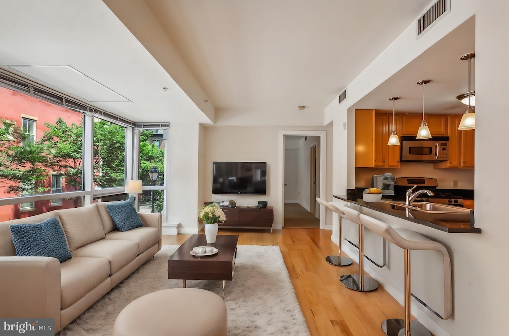 living room featuring light hardwood / wood-style floors and sink