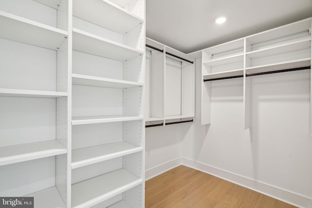 walk in closet with wood-type flooring