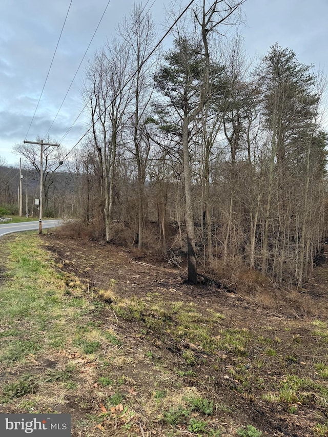 Buck Hill Rd, Gerrardstown WV, 25420 land for sale