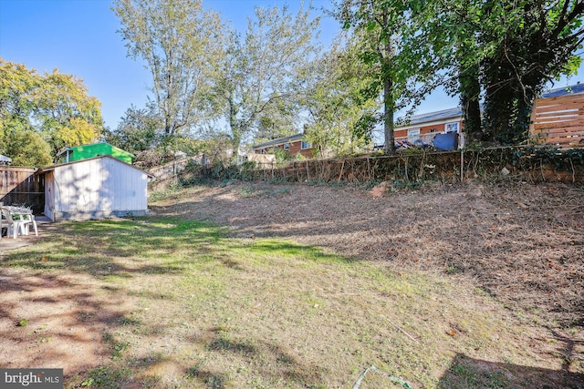 view of yard featuring a storage unit