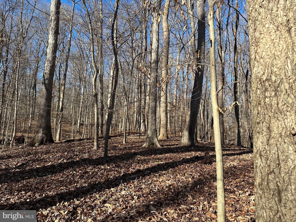 9106 Potomac Ridge Rd, Great Falls, VA 22066