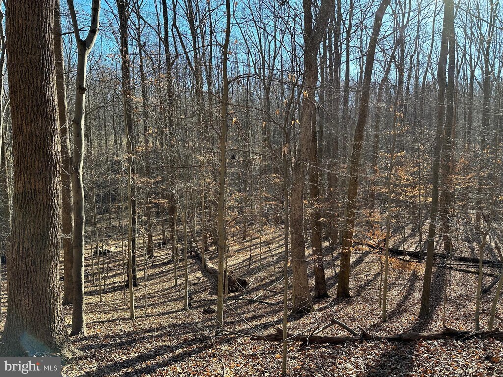 9106 Potomac Ridge Rd, Great Falls, VA 22066