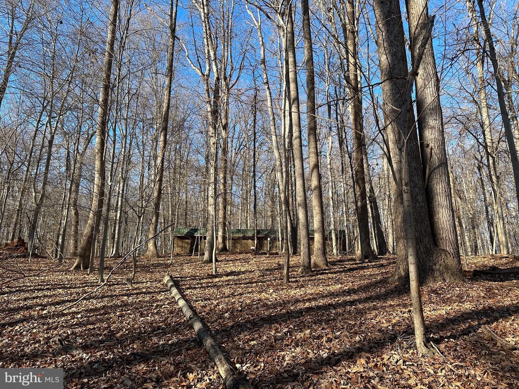 9106 Potomac Ridge Rd, Great Falls, VA 22066