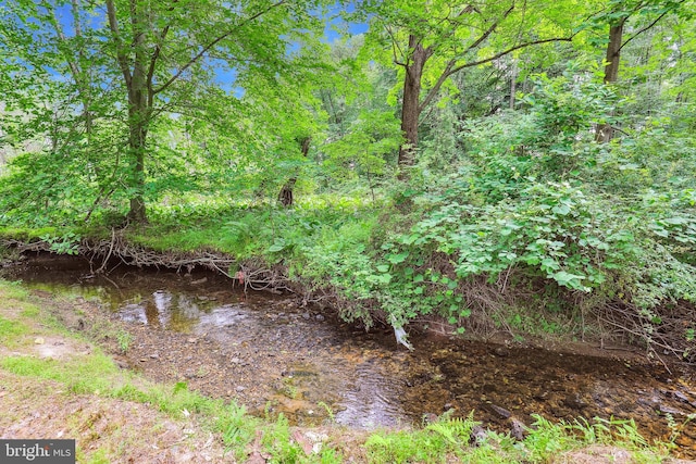 view of nature
