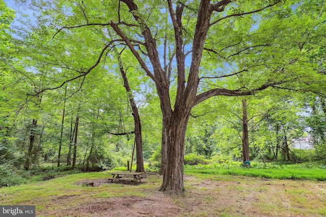 view of nature
