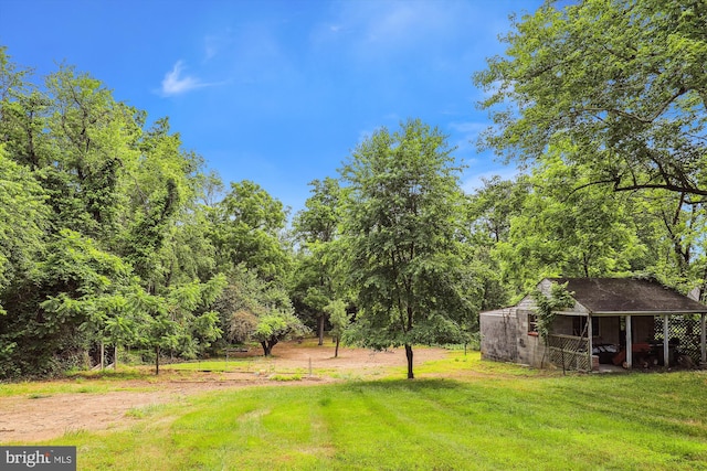 view of yard featuring an outdoor structure