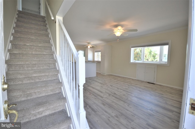 stairway with ceiling fan, ornamental molding, and wood-type flooring