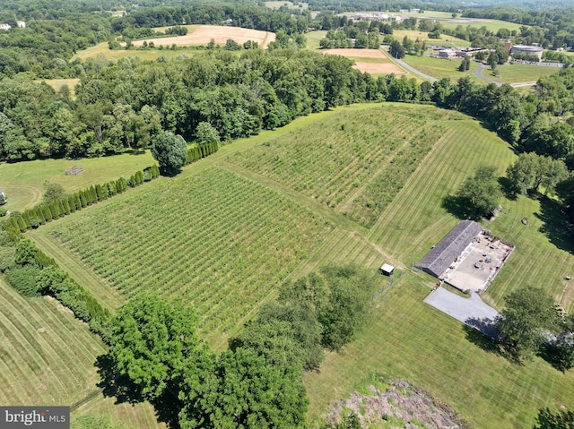 drone / aerial view with a rural view