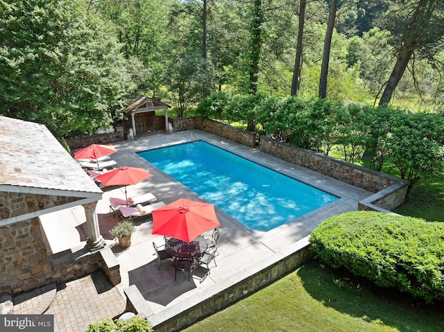 view of pool featuring a patio area