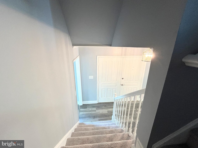 stairway featuring wood-type flooring