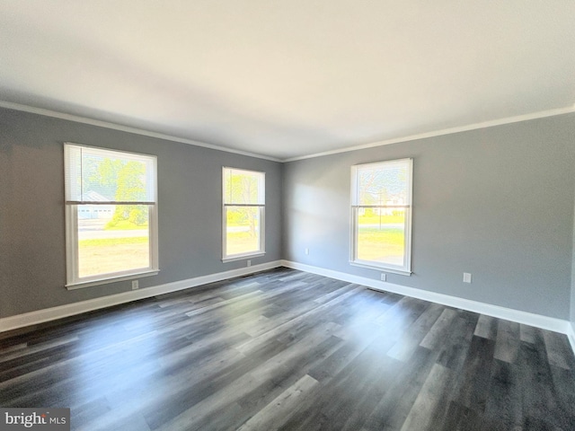 empty room with crown molding, plenty of natural light, and dark wood-type flooring