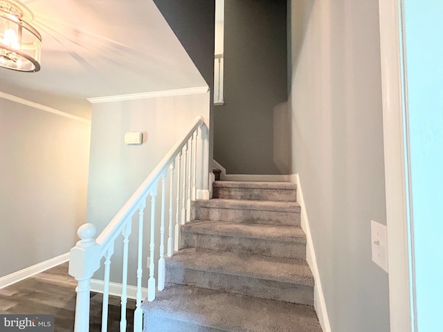 staircase with wood-type flooring and crown molding