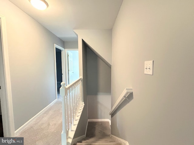 stairs with carpet floors