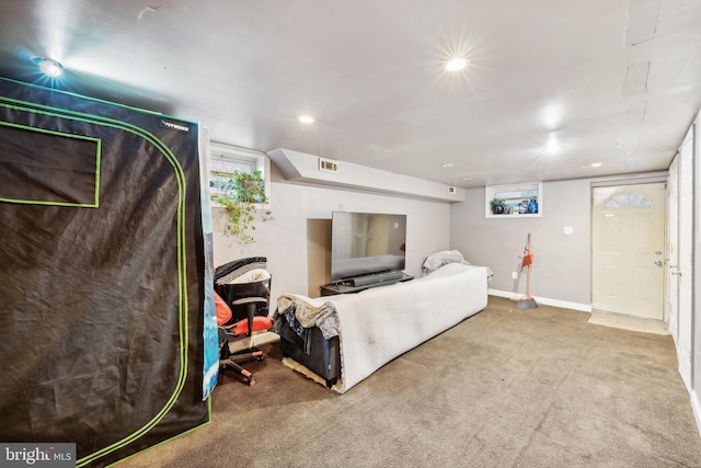 living room with carpet flooring