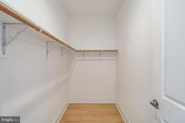 spacious closet with hardwood / wood-style flooring