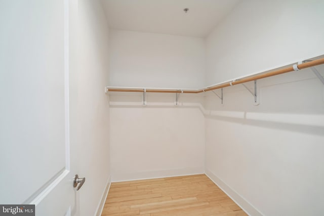 spacious closet with wood-type flooring