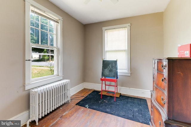 living area featuring radiator, a wealth of natural light, ceiling fan, and wood-type flooring