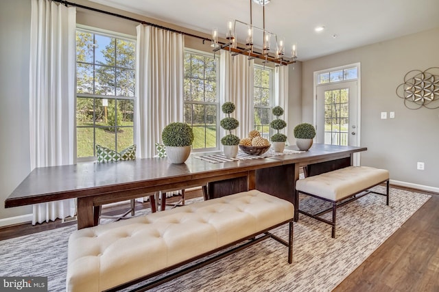 dining room with wood-type flooring, an inviting chandelier, and plenty of natural light