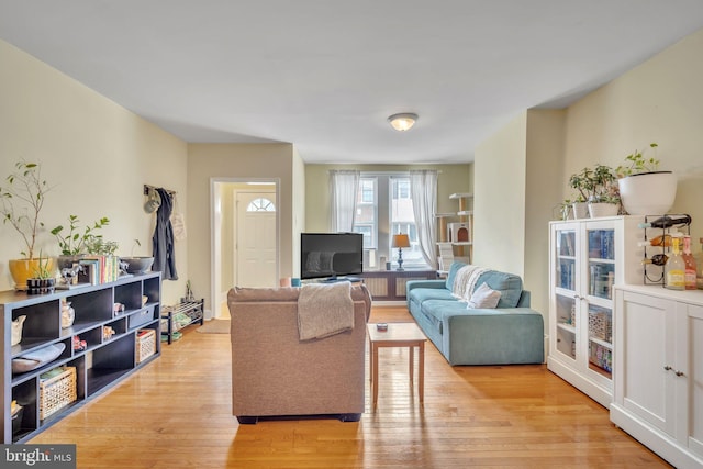 living room with light hardwood / wood-style flooring