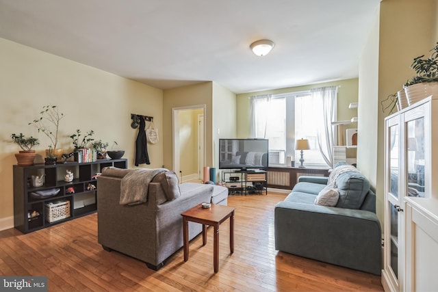 living room with wood-type flooring