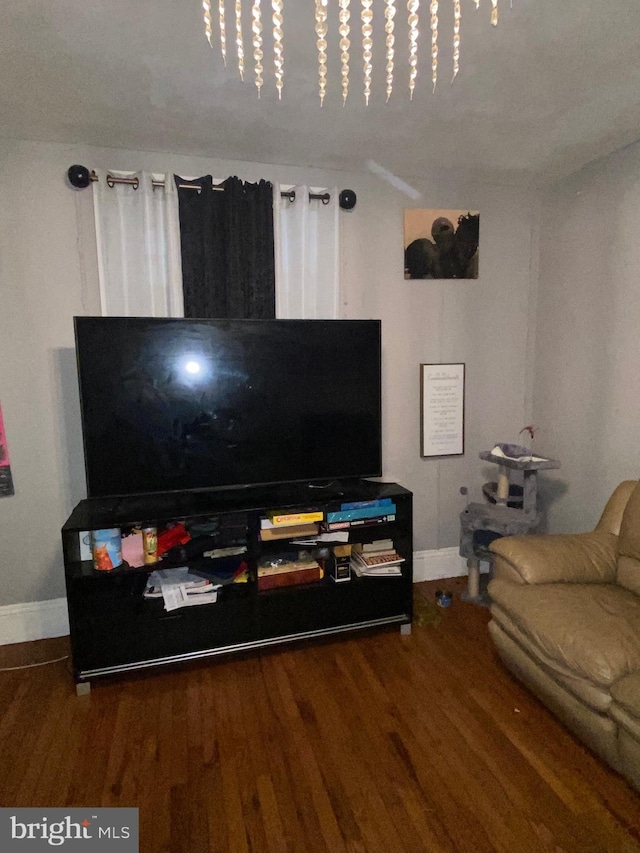 living room featuring wood-type flooring