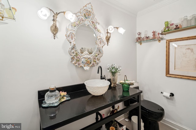 bathroom featuring ornamental molding and sink