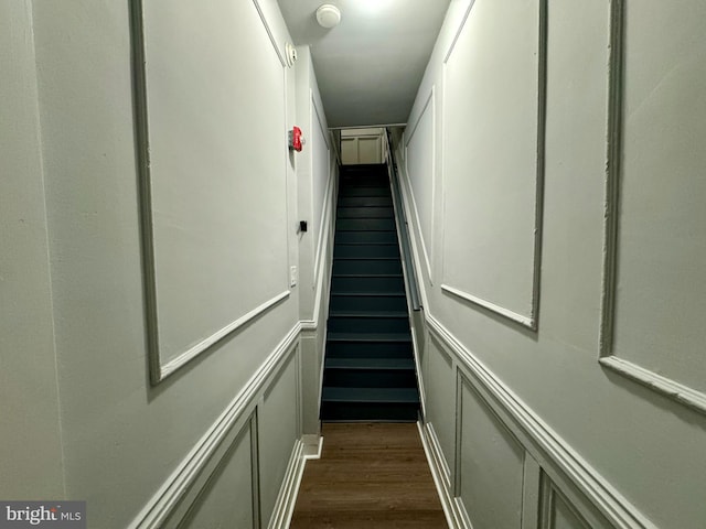 staircase featuring wood-type flooring