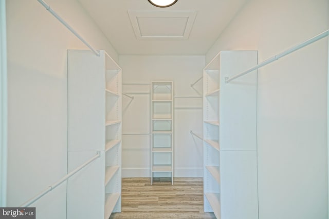 walk in closet featuring light hardwood / wood-style floors