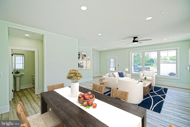 dining space with ceiling fan, sink, and light hardwood / wood-style floors