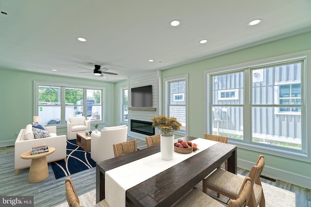 dining space with ceiling fan, a large fireplace, and light hardwood / wood-style floors