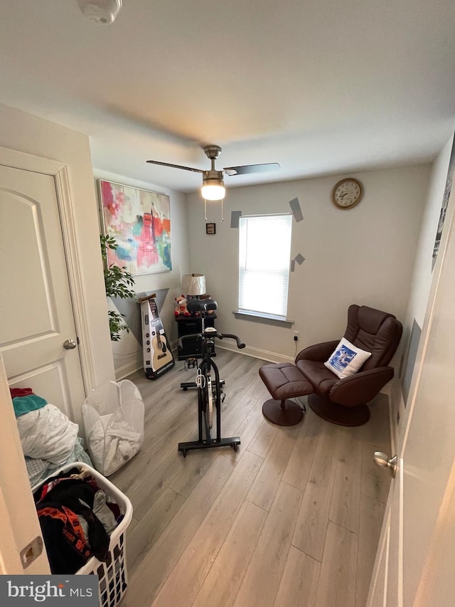 exercise area with ceiling fan and light hardwood / wood-style flooring