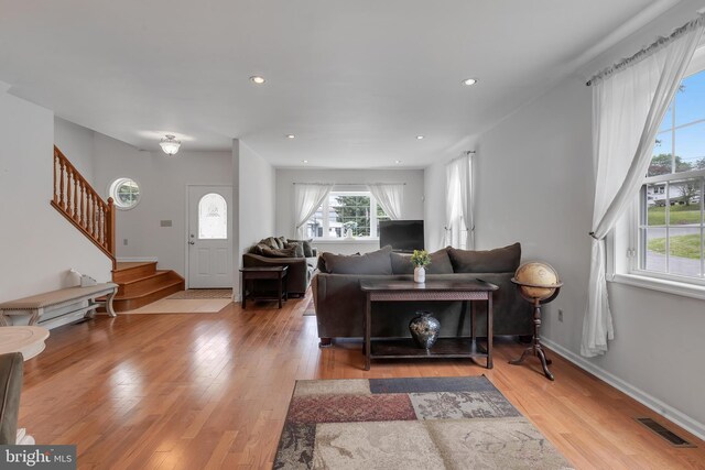 living room featuring hardwood / wood-style floors