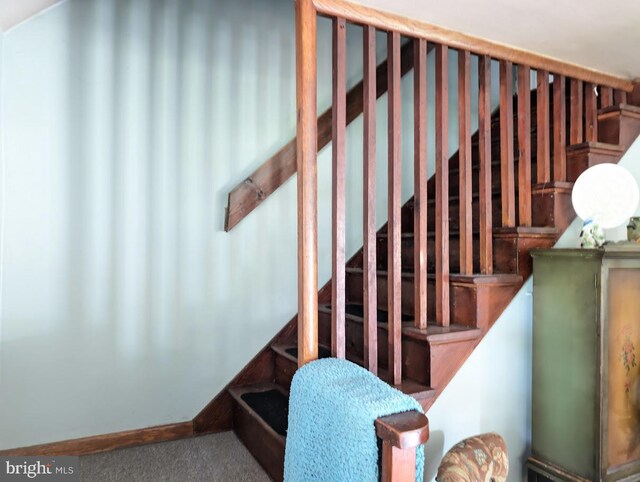 stairway featuring carpet flooring