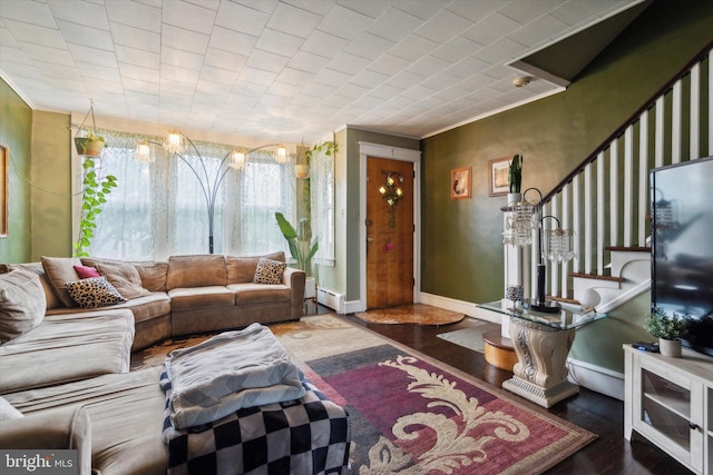 living room with crown molding, a baseboard radiator, and dark hardwood / wood-style floors