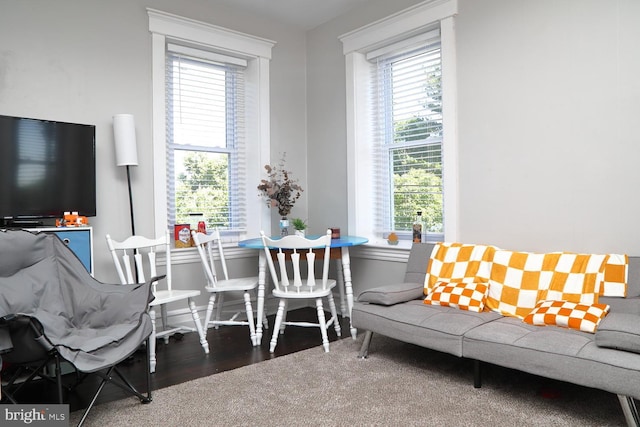 interior space featuring dark hardwood / wood-style flooring