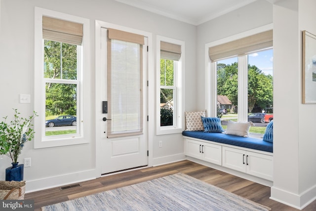 interior space featuring crown molding, a healthy amount of sunlight, and hardwood / wood-style flooring