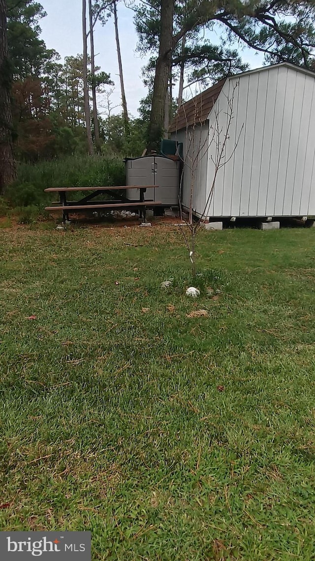 view of yard with a shed