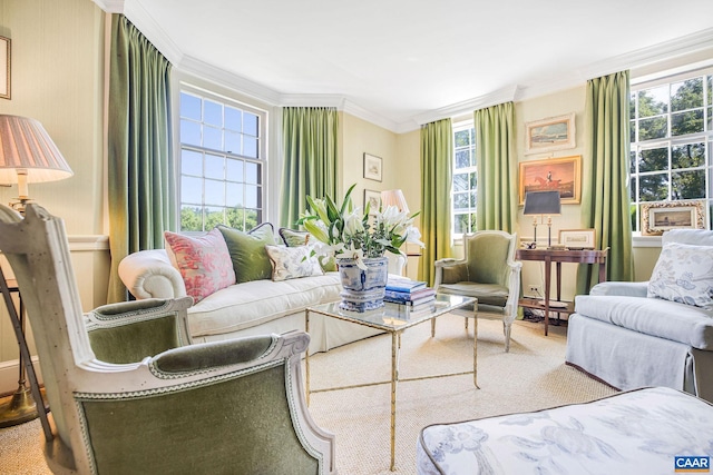 living area featuring carpet and ornamental molding